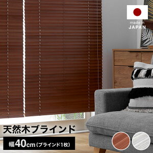 uCh EbhuCh { ؐ ډB ߂ 40 80 100 120 140 160 180 200 zCg uE Vv  ݑ 󒍐Yi