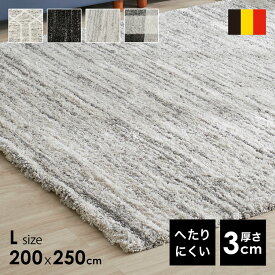 ラグ 200×250 おしゃれ ラグマット ブラック 黒 グレー 灰色 カーペット マット ウィルトン織り フロアマット センターラグ シャギーラグ 北欧テイスト モノトーン デザイン 絨毯 ベルギー産 新生活