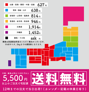 楽天市場 即日配送 サラッと快適 日本製 洗えるマスク1枚 抗菌性 ムレ 軽さ 速乾性に優れた美濃和紙使用 長襦袢のような優しい生地採用 在庫あり メール便選択で送料無料 ラグゼアンダーウェアショップ