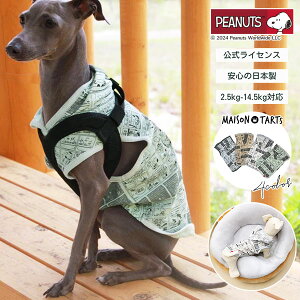 yzPEANUTS×MAISON TARTS R~bN SNOOPY fUC t[hp[J[ / Xk[s[ |  hbOEFA | 4J[ | 5TCYWJ 2.5kg`14.5kgΉ | { | Rbg | yAR[f\ | 