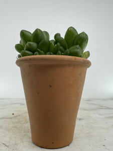  EueBR[  [Y|bg  A nI`A  CeA  fĂ  