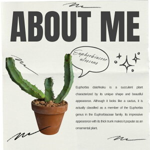 [tHrA  Pp  fĂ    CeA  A