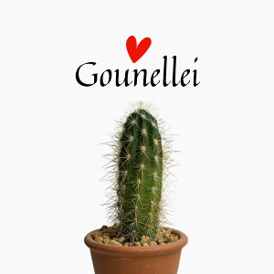 T{e T{e  s\PEX  s 3  fĂ  A  