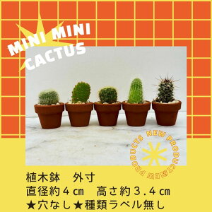 T{e  ܂  5Zbg  fĂ  CeA  ~j~jT{e  ރx  Ȃ