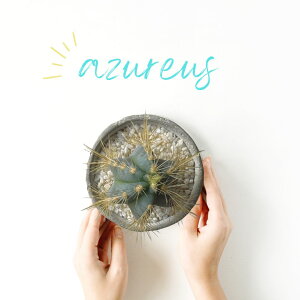 T{e T{e  s\ZEX  AYEX  AeB[N픫    A