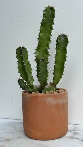 [tHrA  _t  fĂ  CeA  A  u`  }  