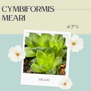 nI`A  A  3|bg  A  VrtH~X  CeA