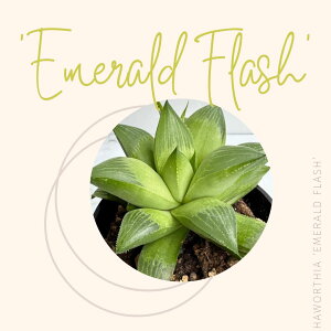 A nI`A  GhtbV 3|bg  ϗtA 