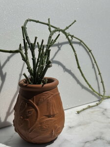 T{e A KKC  TRXe}  \Rgi fĂ|bg A  CeG 