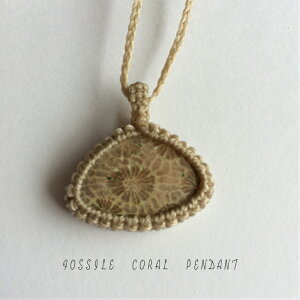 tHbVR[y_g@X@΁@Fossil@coral@