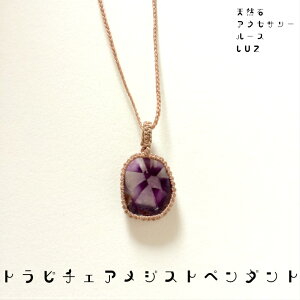 gs`FAWXgy_g AWXg 􉽊w͗l z AXg[ LUZ VR΃ANZT[AVXg 蕨 a