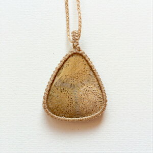 tHbVR[y_g X艻 낤@gCAO Op AM[ tHbVR[ tHVR[ fossilcoral  Ԗ͗l VR 񂲉 tHbVR