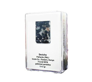 1_ 覐 ZRpTCg TCY-24.8mm×24.8mm d-7.62g Pallasite Sericho eCg p[Xg[