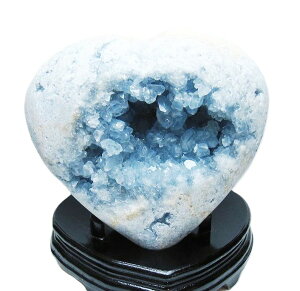 1_ ZX^Cg V n[gVFCv 889g t V p[Xg[