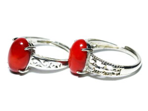 O ԎX  ݊̂鏗炵ԐF