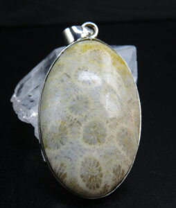 y_ggbv X 36×24mm _ ANZT[ p[Xg[ @1