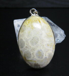 y_ggbv X 31×21mm _ ANZT[ p[Xg[ 3