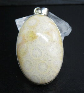 y_ggbv X 36×24mm _ ANZT[ p[Xg[ 4