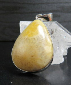 y_ggbv X 36×24mm _ ANZT[ p[Xg[ 5