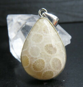 y_ggbv X 27×20mm _ ANZT[ p[Xg[ 7