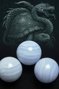 �ۋ� �u���[���[�X�A�Q�[�h 15mm�� 1���� �V�R�Ίۋ� ���� �u���� ���� ������ ���Ȃ� �p���[�X�g�[��