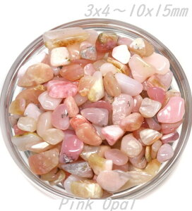 򉻗p sNIp[ 3×4`10x15mmO 100g VR 򉻗p`bv p[Xg[