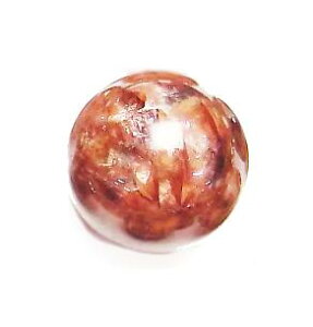 ۋ bhw}^CgNH[c 20mm ԐibhNH[cjSiACANH[cj