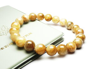 1_ uXbg tFiJCg 9`9.5mm 21 ʐ^̌i肵܂ ӕʏt