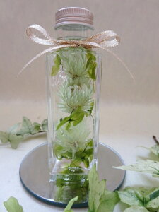 yn[oEzvU[uht[@pr@KX@CeA@G݁@Mtg@v[g@j@a@j@@̓@Ɓ@ސE