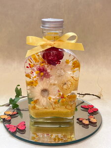 yn[oEzy3000~Mtgz@v[g@ECXL[`@KXr@@j@j@oYj@hV̓@̓@Ɓ@ސE