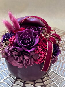 yvU[uht[zMtg@nEB@ڂ@pvL@j@a@̓@hV̓@l