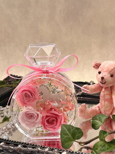 yvU[uht[zr@Mtg v[g@oYj@a@j@̓@@ސE@@Ɓ@ސE@@y3000~Mtgz