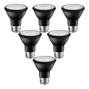 N[|zzLED X|bgCg E26 6 r[d 550LM 6W(nQd40W) PAR20 dF 3000K ubN Ή 3Nۏ  LVWIT