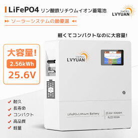 【スーパーSALE特価84,998円！】【Grade-Aの電池】LVYUAN(リョクエン)25.6V 100AH 2.56kWh LiFePO4 リン酸鉄リチウムイオンバッテリー 家庭用蓄電池 4000-15000サイクル 家庭用ソーラーシステム オフグリッド、キャンピング、車中泊、ソーラー発電、バックアップに最適