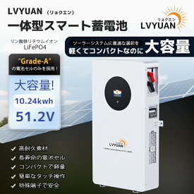 【クーポンで350,998円！14日まで】【Grade-A電池セル】LVYUAN(リョクエン)51.2V 200Ah 10.24kWh LiFePO4 リン酸鉄リチウムイオンバッテリー 家庭用蓄電池 4000-15000サイクル RV・キャンピングカー・車中泊・家庭用エネルギー貯蔵システム・ソーラーシステムの蓄電