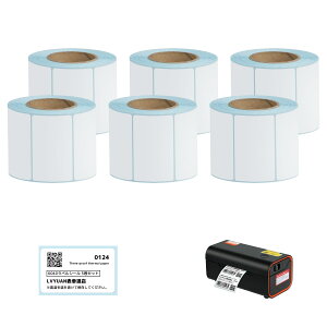 yN[|1,698~`I1zLVYUANiNGj MxV[ y40×30mm/50×30mm/60×40mm IׂTCYz 700[ [Zbg T[}v^[p ėp Mx Ɩp