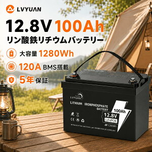 �y�|�C���g10�{�I�z �yGrade-A�d�r�Z��-5�N�ۏ؁zLVYUAN 12V 100Ah �����_�S���`�E���C�I���o�b�e���[ 1280Wh ����120A��BMS 3000��ȏ�̃T�C�N�� �ƒ�p�~�d �o�b�N�A�b�v�d�� �Ԓ��� �L�����s���O�J