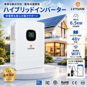 �y�ő�6�����Ή��zLVYUAN �n�C�u���b�h�C���o�[�^�[ 6.5kW 6500W �����g DC48V��AC100V/200V �P���O���� �I�t�O���b�h ���z�����d 48V�o�b�e���[�Ή� ����d�d�� �\�[���[�[�d�� ���z�����d���V�X�e