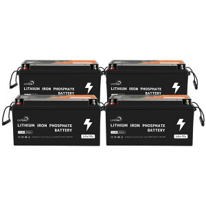 yN[|55,998~`I9/24܂ŁzyGrade-AdrZ-5Nۏ؁z12V 200AH _S`Eobe[2560Wh 200ABMS LiFePO4i_S`Ejdr 10NԂ̑ϋvԒARVALs