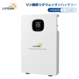 LVYUAN(リョクエン)リン酸鉄リチウムイオンバッテリー 51.2V 100AH 5.12kWh 家庭用蓄電池 BAT-S48100-LV【日本語施工方法取扱説明書付】