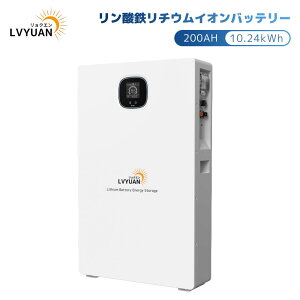 yN[|512,998~I9/24܂ŁzLVYUAN(NG) _S`ECIobe[ 51.2V 200AH 10.24kWh ƒp~dr BAT-S48200-LVy{{H@戵tz