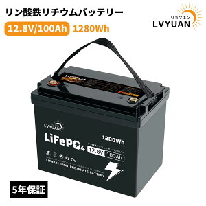 yN[|25,198~-14܂Łzy5Nۏ؁EGrade-AZz LiFePO4obe[ 12V 100Ah 1280Wh _S`Edr BMS120AEΉE3000ȏTCNEŒ10N A}`A L