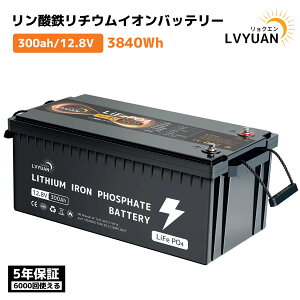 �y15��OFF�N�[�|���z�z���z LVYUAN 12.8V200Ah �����_�S���`�E���C�I���o�b�e���[ IP65�h�� 3840Wh 200A��BMS LiFePO4 6000��ȏ�T�C�N���� ������10�N�g�p�\ �Ԓ����ARV�A�L�����s���O�J�[ �A�\�[���[