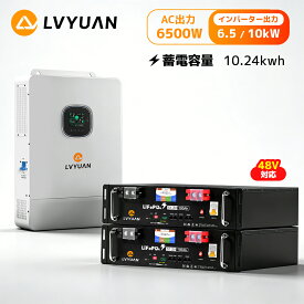 【15％OFFクーポン配布中】LVYUAN 単相3線式ハイブリッド蓄電システム（ラック型）