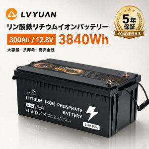 リン酸鉄リチウムイオンバッテリー 200ah」の人気商品一覧・価格比較 