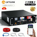 【15％OFFクーポン配布中】LVYUAN 51.2V/100Ah 5.12kWhリン酸鉄リチウムイオンバッテリー ラック型 RS485 CAN RS232 …