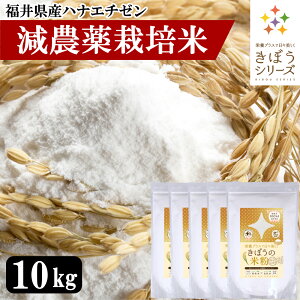 グルテンフリー パン ミックス 粉類の人気商品 通販 価格比較 価格 Com グルテンフリー パン ミックス 粉類の人気商品 通販 価格比較 価格 Com
