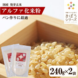 きぼうのアルファ化米粉 240g×2袋 国産 発芽玄米 米粉 うるち米 パン用 吸水量低い 食パン作りに最適 無添加 パン作り ホームベーカリー グルテンフリー きぼうの米粉 少量【オリジナルレシピ付き】