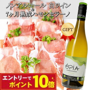 HMtg mAR[CnZbg IsA Vhl750ml nZ[m7 n ܂ Mtg Dw a LO j v[g 60 70 80 2025
