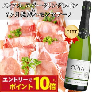 HMtg mAR[Xp[NOCnZbg IsA A750ml nZ[m n7 ܂ Mtg Dw a LO j v[g 60 70 80 2025